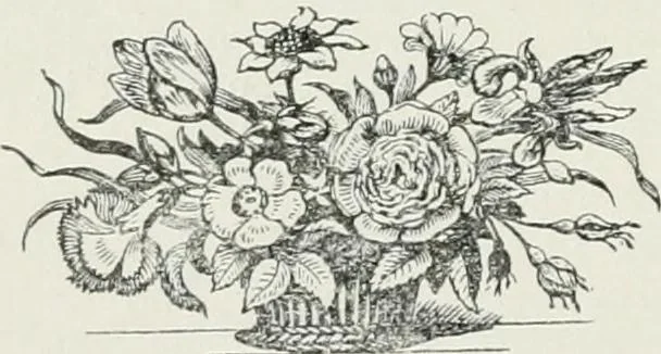 An illustration from Calendar of customs, superstitions, weather-lore, popular sayings, and important events connected with the county of Somerset, 1920, leaf 41