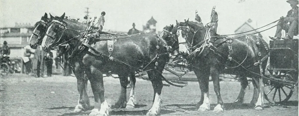 An illustration from Calgary, 1912, leaf 106