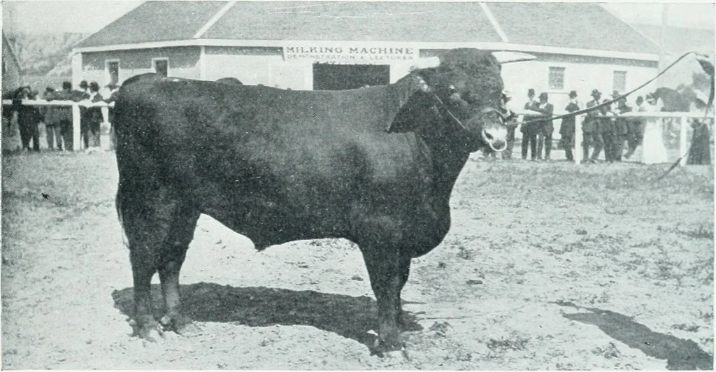 An illustration from Calgary, 1912, leaf 106