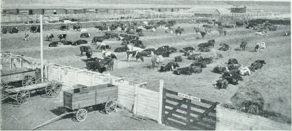 An illustration from Calgary, 1912, leaf 130