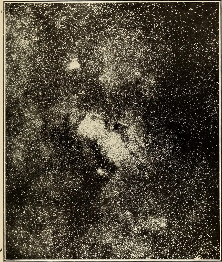 An illustration from The call of the stars;, 1919, leaf 154