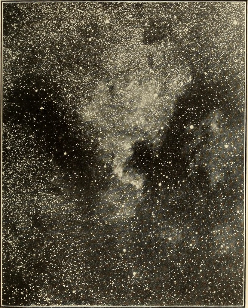 An illustration from The call of the stars;, 1919, leaf 168