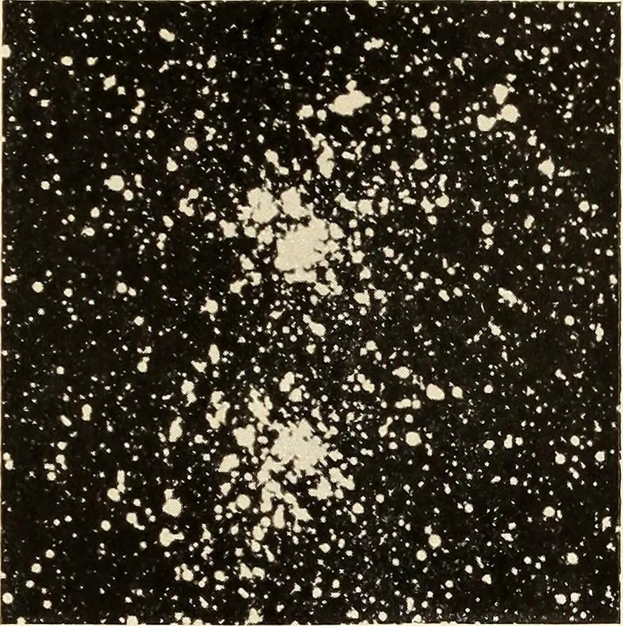 An illustration from The call of the stars;, 1919, leaf 196