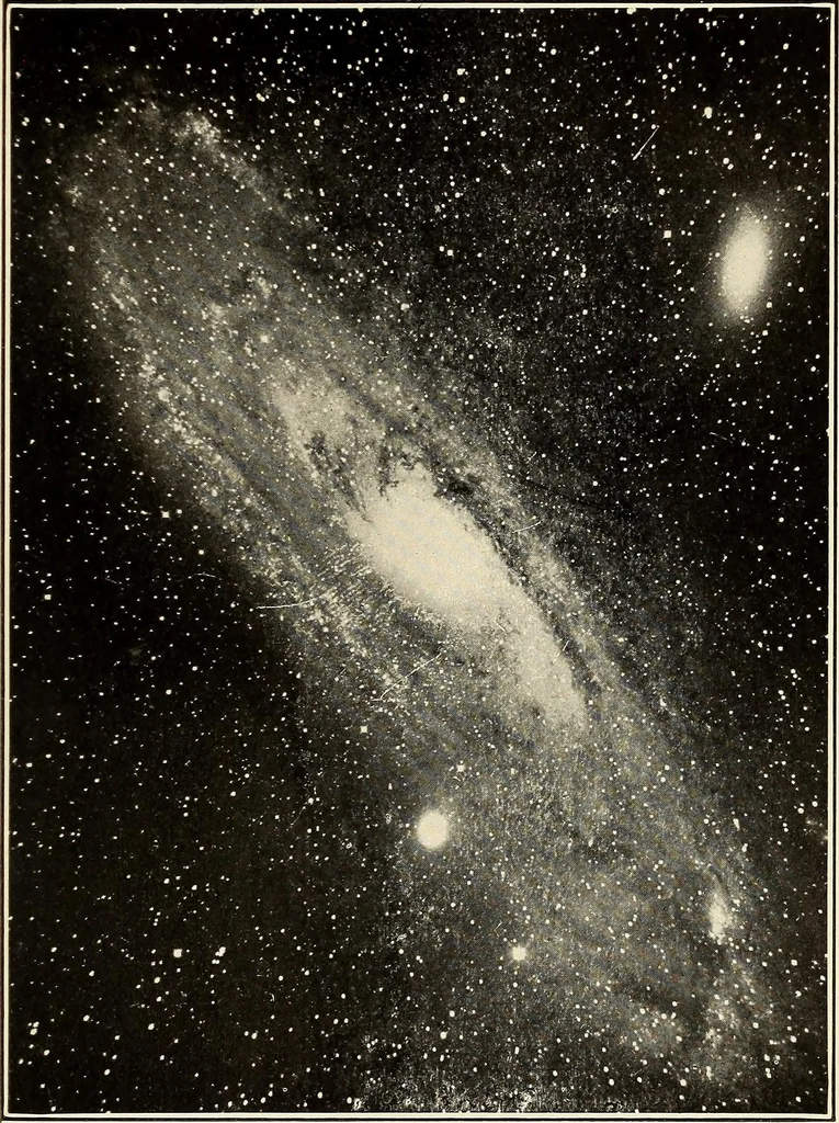 An illustration from The call of the stars;, 1919, leaf 206
