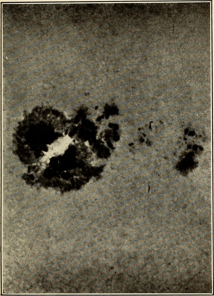 An illustration from The call of the stars;, 1919, leaf 352