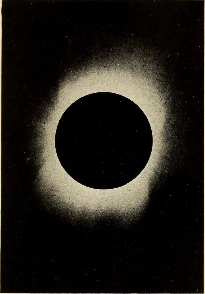 An illustration from The call of the stars;, 1919, leaf 360
