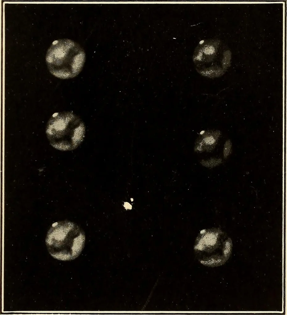 An illustration from The call of the stars;, 1919, leaf 452