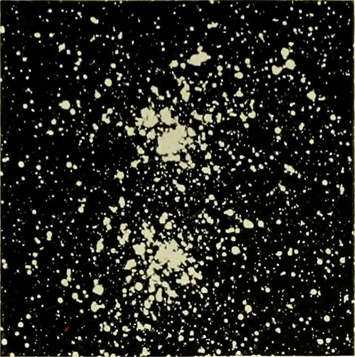 An illustration from The call of the stars; a popular introduction to a knowledge of the starry skies with their romance and legend, 1919, leaf 192