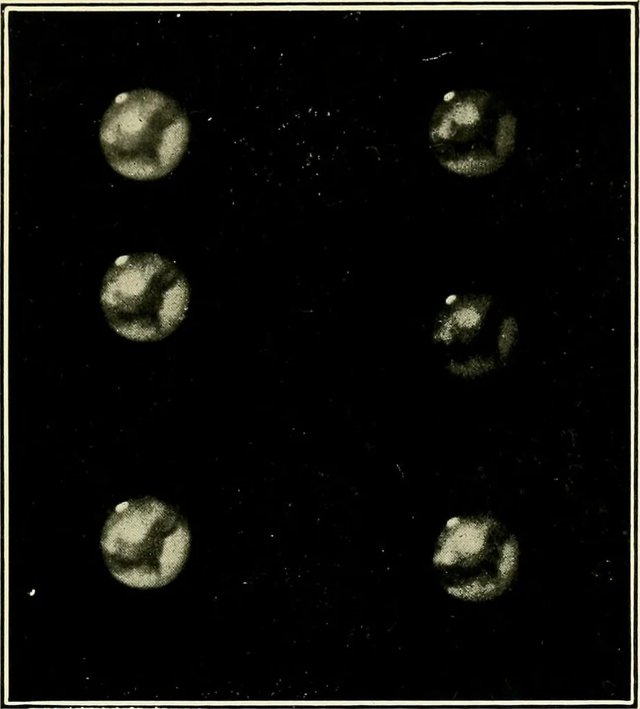 An illustration from The call of the stars; a popular introduction to a knowledge of the starry skies with their romance and legend, 1919, leaf 448