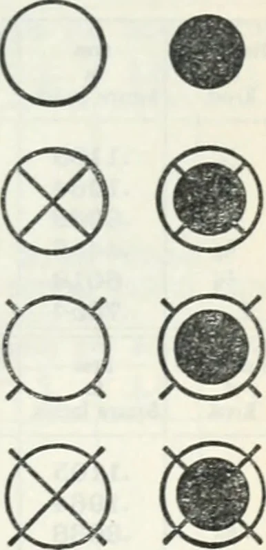 An illustration from Cambria steel; a handbook of information relating to structural steel manufactured by the Cambria steel company, containing useful tables, rules, data, and formulÆ for the use of engineers, architects, builders and mechanics;, 1919, leaf 368