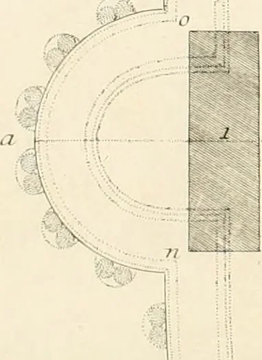 An illustration from Camera ed inscrizioni sepulcrali de' liberti, servi, ed ufficiali della casa di Augusto scoperte nella via Appia, ed illustrate con le annotazioni, 1727, leaf 21