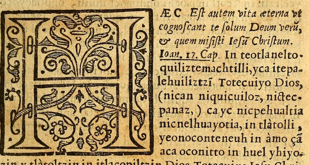 An illustration from Camino del cielo en lengua mexicana, : con todos los requisitos necessarios para conseguir este fin, co[n] todo lo que vn [Christ]iano deue creer, saber, y obrar, desde el punto que tiene vso de razon, hasta que muere., 1611, leaf 29