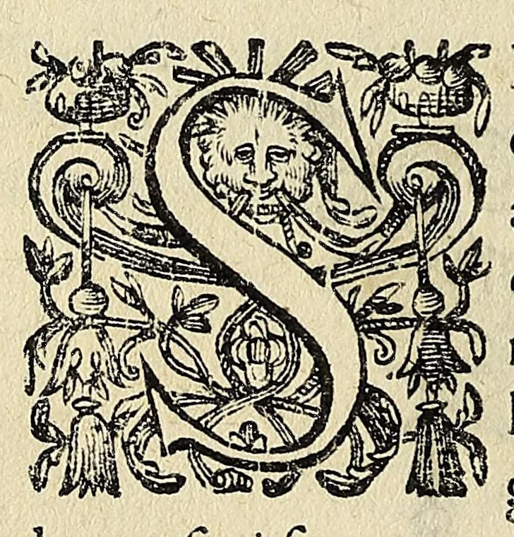 An illustration from Campanellæ ... Astrologicorum libri vi, 1629, leaf 112