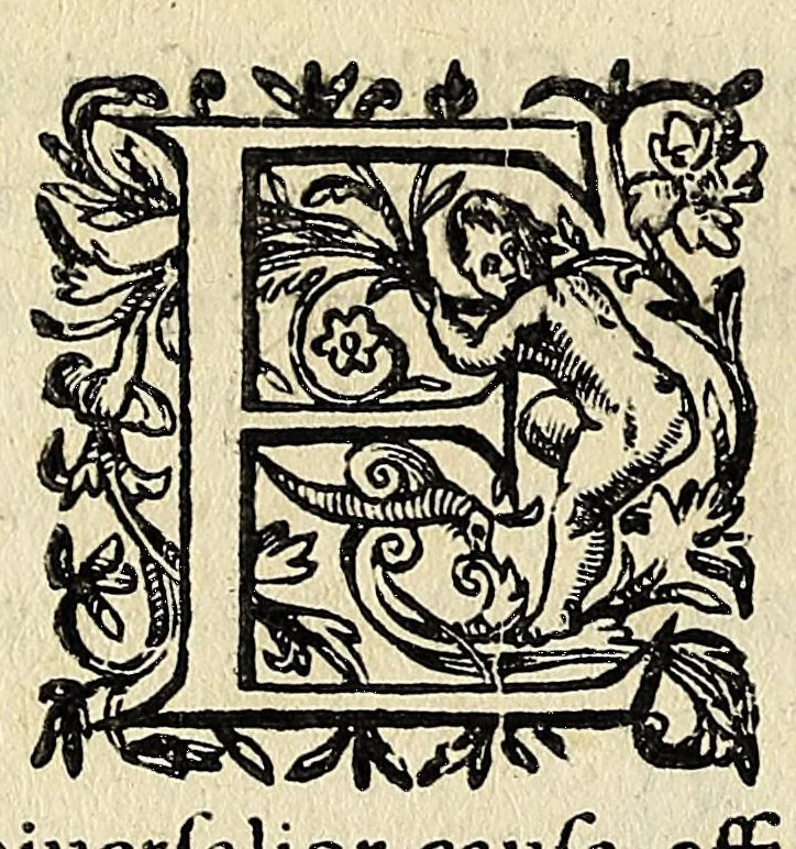 An illustration from Campanellæ ... Astrologicorum libri vi, 1629, leaf 208