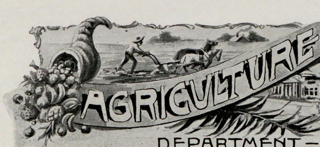 An illustration from Campbell's illustrated history of the World's Columbian Exposition : compiled as the exposition progressed from the official reports, and most profusely illustrated with copperplate engravings, 1894, leaf 253