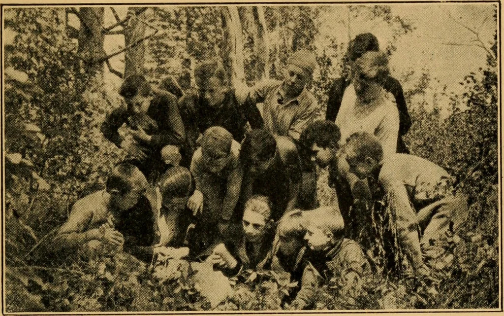 An illustration from Camp and outing activities, 1915, leaf 236