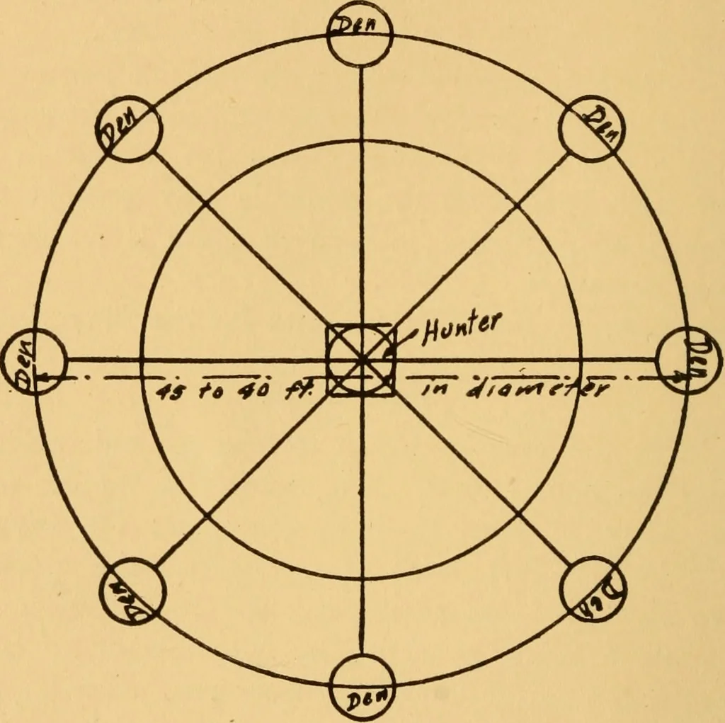An illustration from Camp and outing activities, 1915, leaf 67