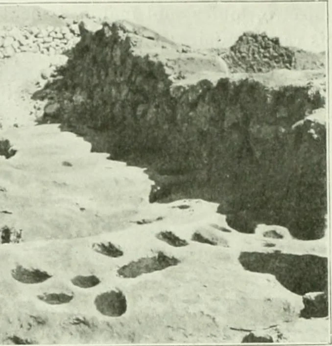 An illustration from Canaan d'après l'exploration récente, 1907, leaf 115