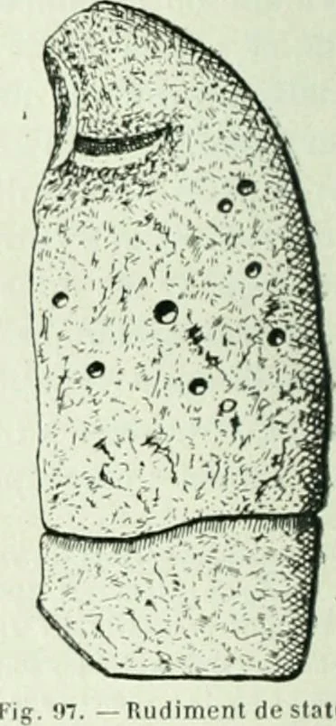 An illustration from Canaan d'après l'exploration récente, 1907, leaf 175