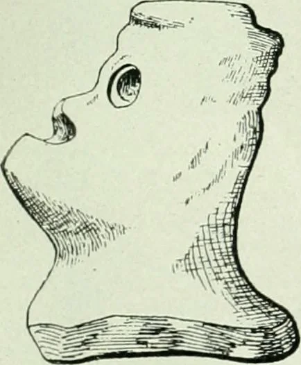 An illustration from Canaan d'après l'exploration récente, 1907, leaf 176