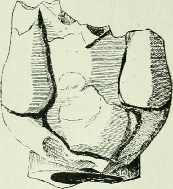 An illustration from Canaan d'après l'exploration récente, 1907, leaf 182