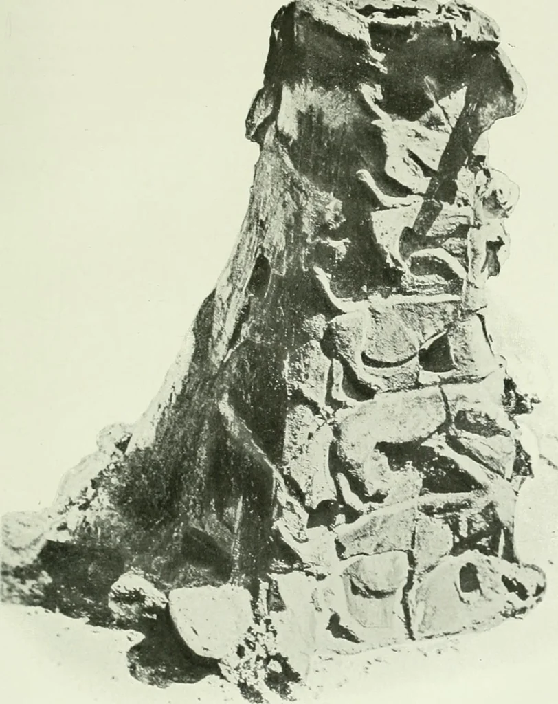 An illustration from Canaan d'après l'exploration récente, 1907, leaf 206