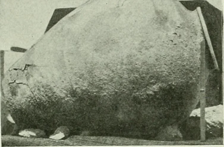 An illustration from Canaan d'après l'exploration récente, 1907, leaf 216