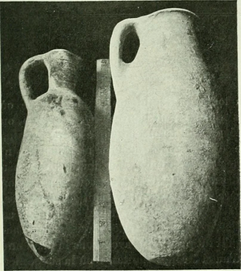An illustration from Canaan d'après l'exploration récente, 1907, leaf 216