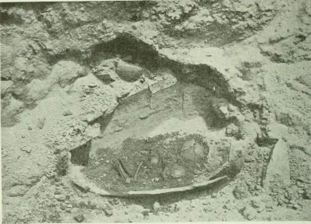 An illustration from Canaan d'après l'exploration récente, 1907, leaf 219