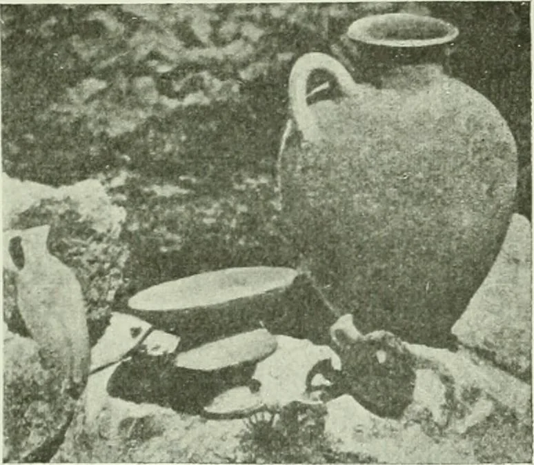 An illustration from Canaan d'après l'exploration récente, 1907, leaf 222