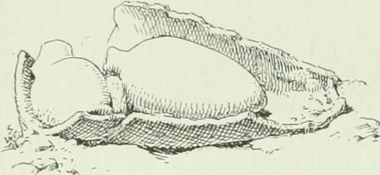 An illustration from Canaan d'après l'exploration récente, 1907, leaf 225