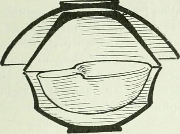 An illustration from Canaan d'après l'exploration récente, 1907, leaf 228
