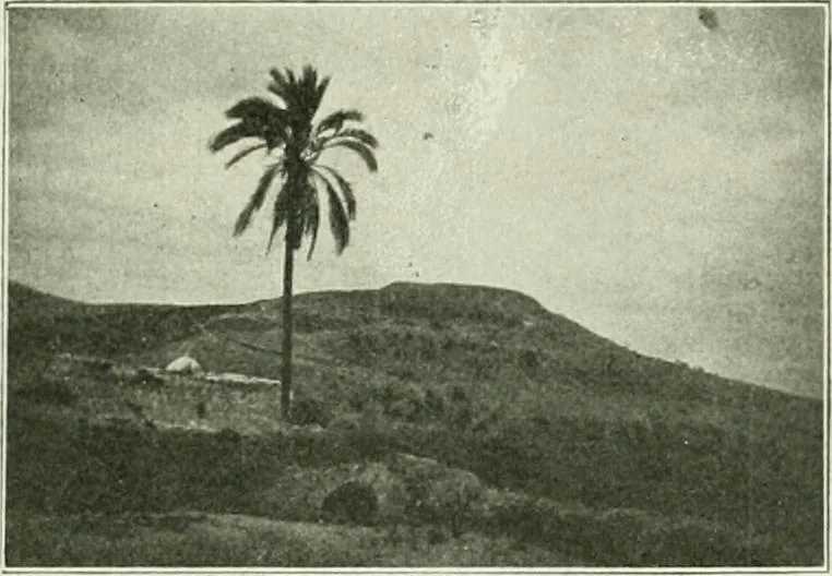 An illustration from Canaan d'après l'exploration récente, 1907, leaf 24