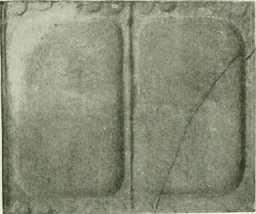 An illustration from Canaan d'après l'exploration récente, 1907, leaf 284
