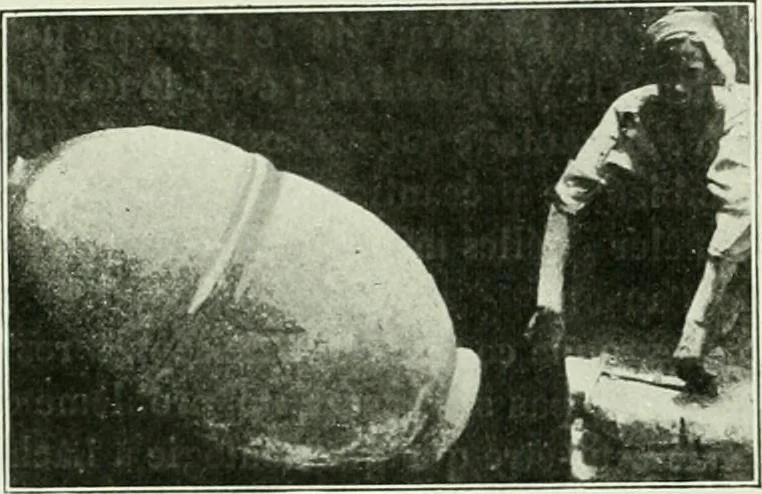 An illustration from Canaan d'après l'exploration récente, 1907, leaf 314