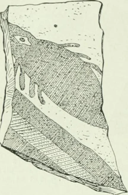 An illustration from Canaan d'après l'exploration récente, 1907, leaf 359
