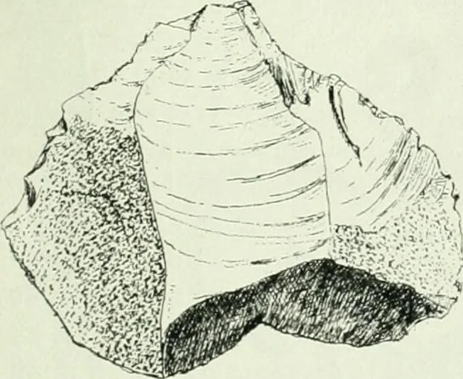 An illustration from Canaan d'après l'exploration récente, 1907, leaf 428