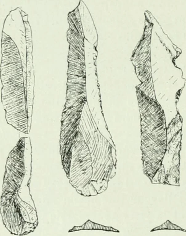 An illustration from Canaan d'après l'exploration récente, 1907, leaf 431