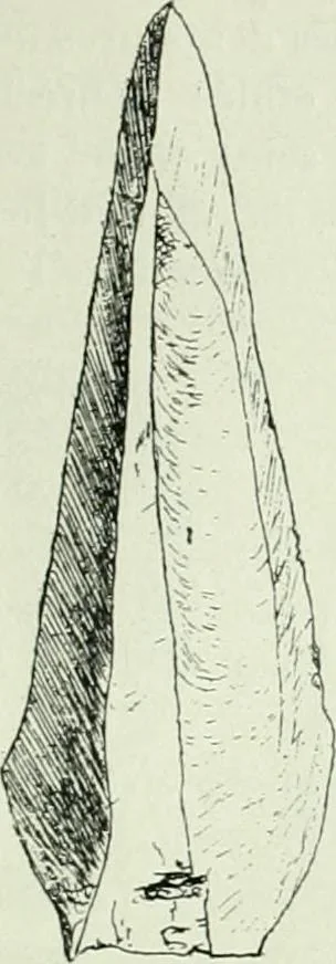 An illustration from Canaan d'après l'exploration récente, 1907, leaf 432