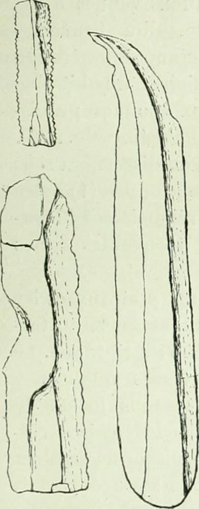 An illustration from Canaan d'après l'exploration récente, 1907, leaf 434