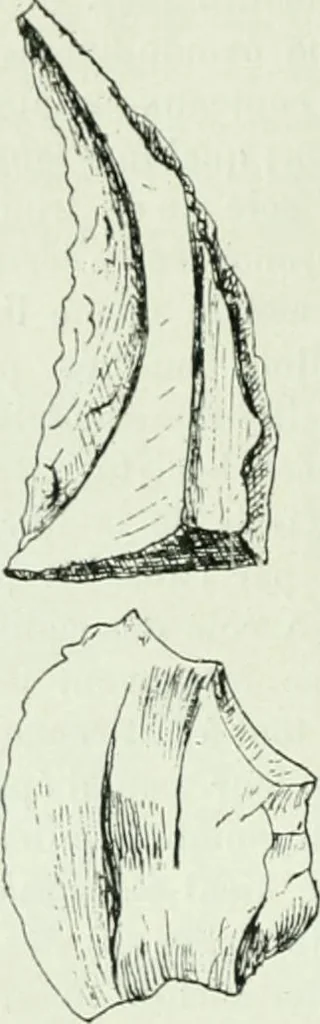 An illustration from Canaan d'après l'exploration récente, 1907, leaf 435