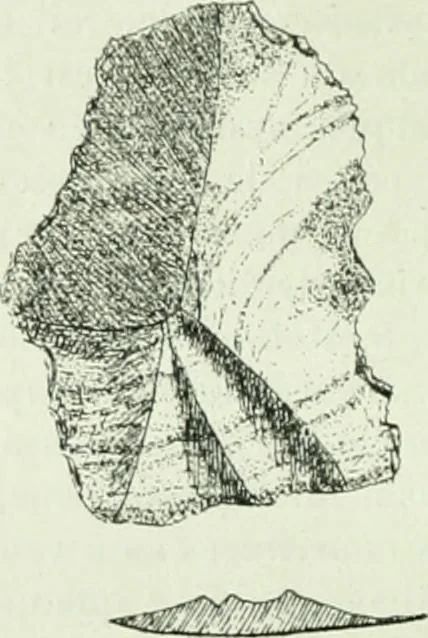 An illustration from Canaan d'après l'exploration récente, 1907, leaf 441