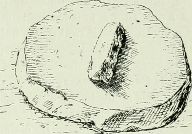 An illustration from Canaan d'après l'exploration récente, 1907, leaf 448