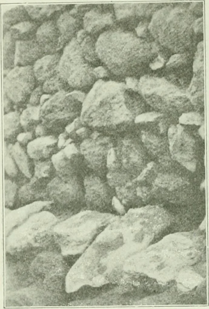 An illustration from Canaan d'après l'exploration récente, 1907, leaf 71