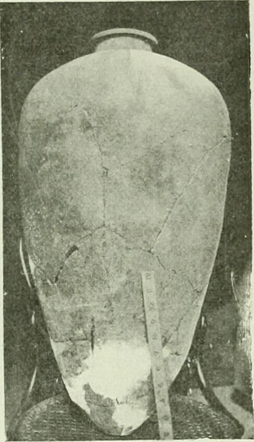 An illustration from Canaan d'après l'exploration récente, 1907, leaf 94
