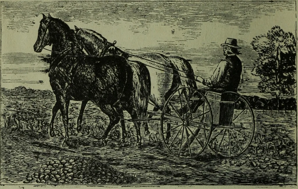 An illustration from The Canadian farm annual for 1880 published in Connection with the Weekly Mail, 1880, leaf 1