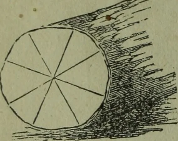 An illustration from The Canadian farm annual for 1880 published in Connection with the Weekly Mail, 1880, leaf 19