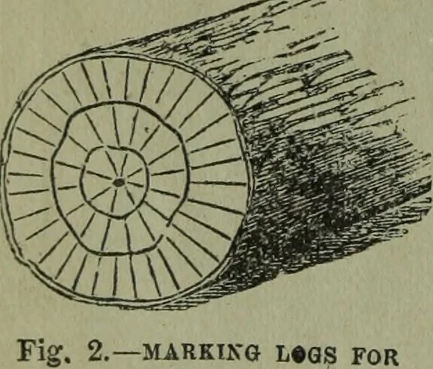 An illustration from The Canadian farm annual for 1880 published in Connection with the Weekly Mail, 1880, leaf 19