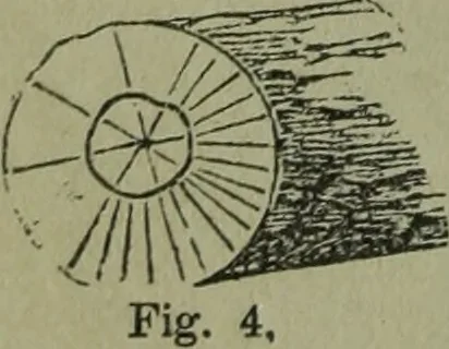 An illustration from The Canadian farm annual for 1880 published in Connection with the Weekly Mail, 1880, leaf 19