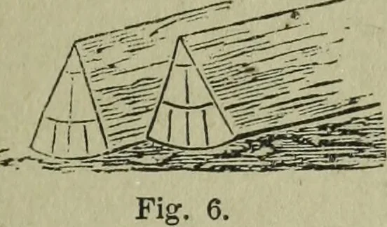 An illustration from The Canadian farm annual for 1880 published in Connection with the Weekly Mail, 1880, leaf 20